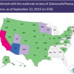 Salmonella Poona Cucumber Outbreak 9.22.15
