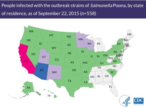 Salmonella Poona Cucumber Outbreak 9.22.15