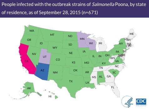 Salmonella Poona Cucumber Outbreak 92915