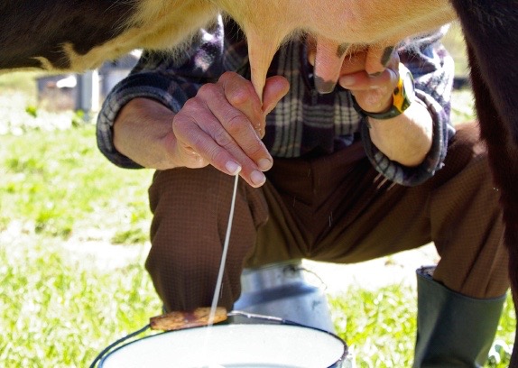 CDC  Public Health Law Anthologies: Raw Milk