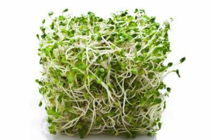 FDA Issues New Guidance to Improve Safety of Sprouts