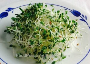 Salmonella Sun Sprouts Warning Letter Sent After Outbreak