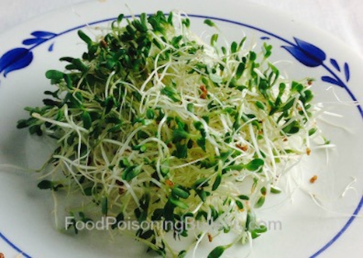 FDA Finds SunSprouts Alfalfa Sprouts Likely Source of Salmonella