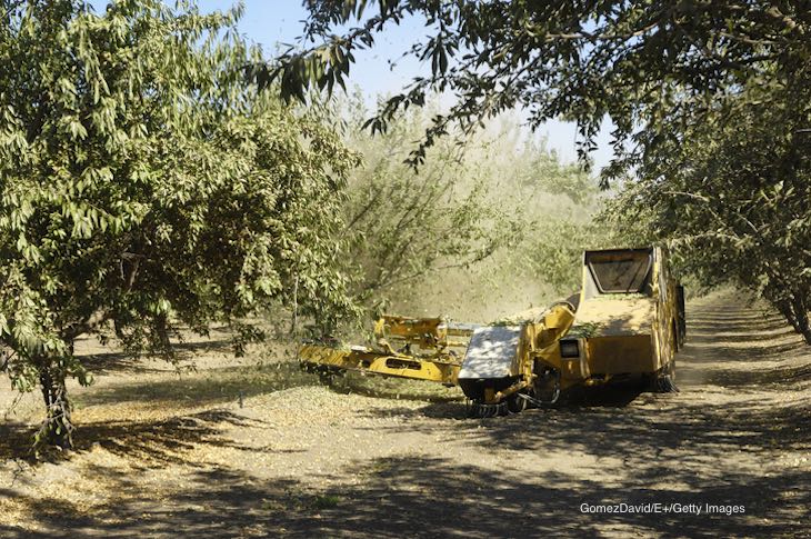 Drift From Poultry Farm Moved Aerosols Onto Nearby Almond Orchard
