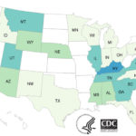 Backyard Poultry Salmonella Outbreak Sickens 97 in 28 States