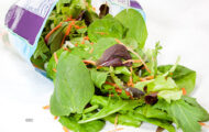 Leafy Greens Salmonella Outbreak in Redacted FDA Report