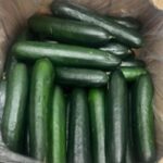 Baloian Farms Cucumbers Recalled For Possible Salmonella