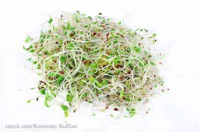 Raw sprouts