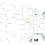 CDC Weighs In On Bison Burgers E. coli O103 and O121 Outbreak
