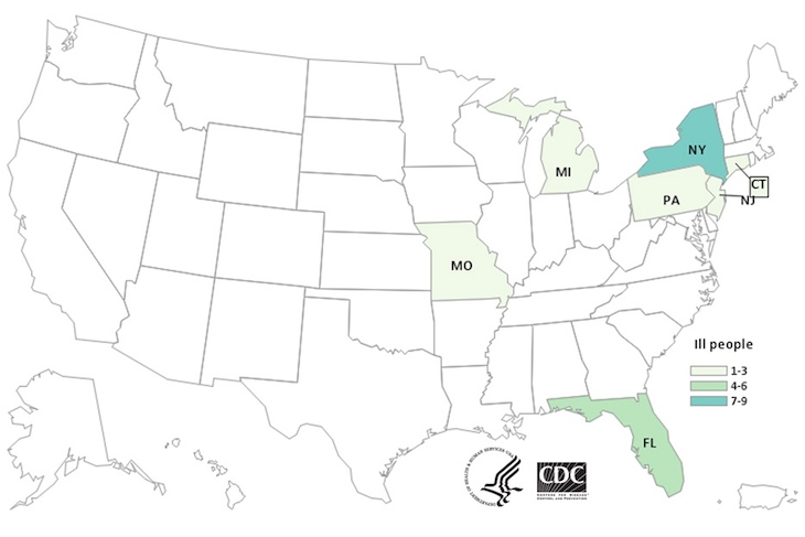 CDC Weighs In On Bison Burgers E. coli O103 and O121 Outbreak