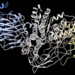 Olivera Olives Recalled For Possible Clostridium Botulinum