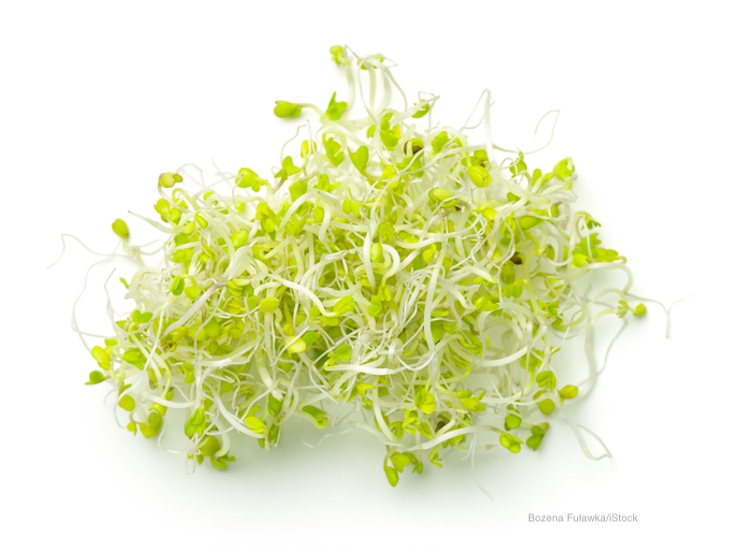 Evergreen Fresh Broccoli Sprouts Salmonella Outbreak Sickens 16