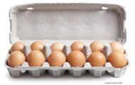 Chubby Cattle Salmonella Outbreak May Be Linked to Eggs