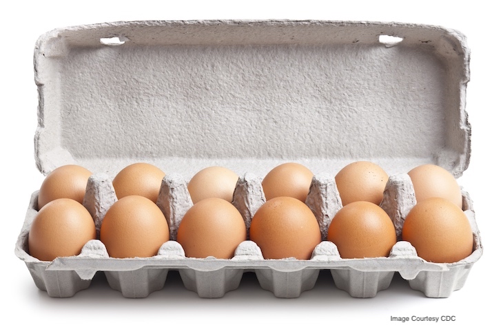 Chubby Cattle Salmonella Outbreak May Be Linked to Eggs
