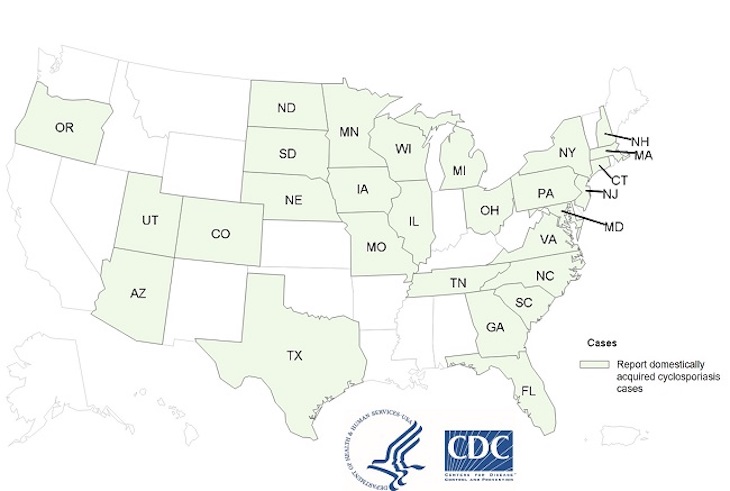 CDC Updates Overall Cyclosporiasis Outbreak: 462 Sick in 28 States