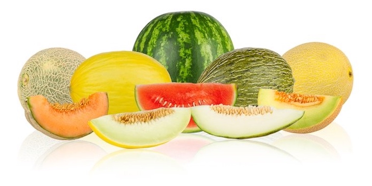 Caito Foods Precut Melon Salmonella Outbreak Recall