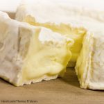 Camembert Soft Cheese