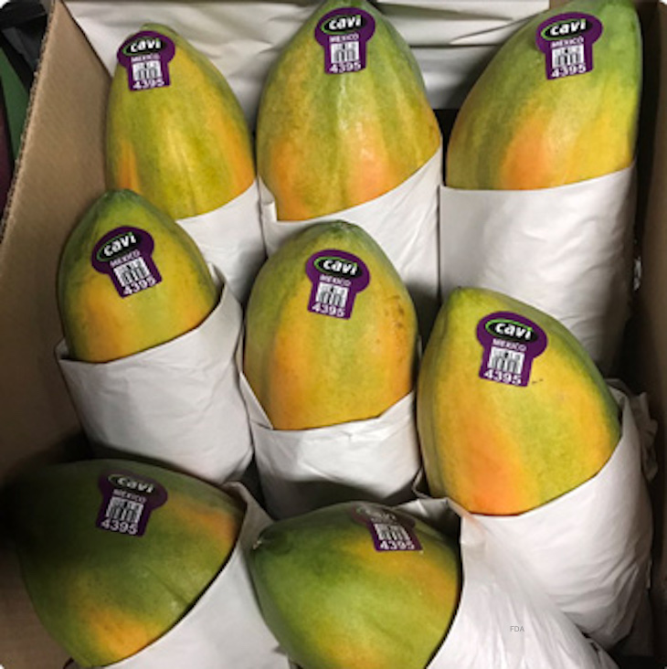 Salmonella Uganda Outbreak Potentially Linked to Cavi Papayas Ends with 81 Sick