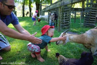 Child at Petting Zoo