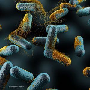 How Do You Know If You Have a Clostridium Perfringens Infection?