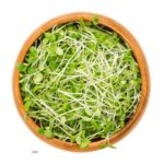 FDA Releases Food Safety Guidance For Producing Sprouts