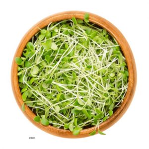 FDA Releases Food Safety Guidance For Producing Sprouts