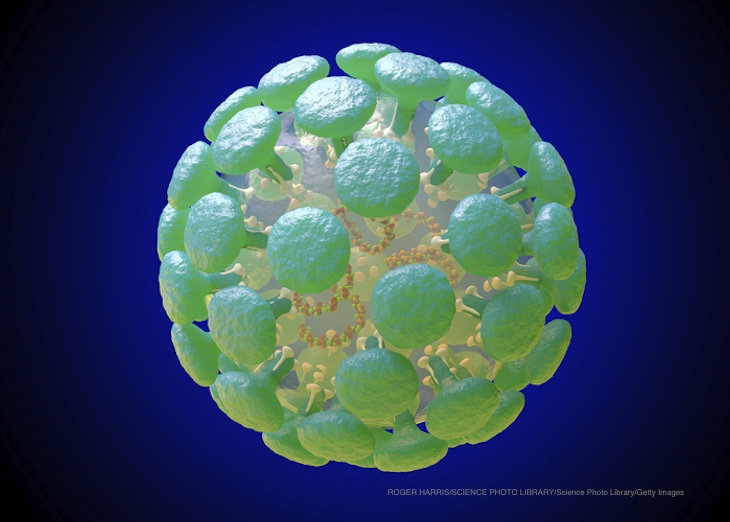Can Coronavirus Be Spread Through Food?