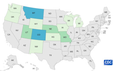 Deadly McDonald's Onions E. coli O157:H7 Outbreak Sickens 90