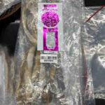 Dry Ghoinnya Fish Recalled For Possible Botulism Risk