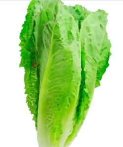 C&E Farms Romaine Lettuce Recalled For Rodent Droppings