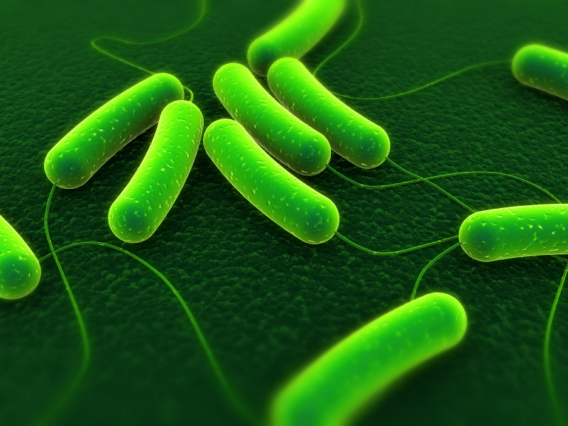 E. coli O157 Outbreak at Fulton County Indiana Daycare