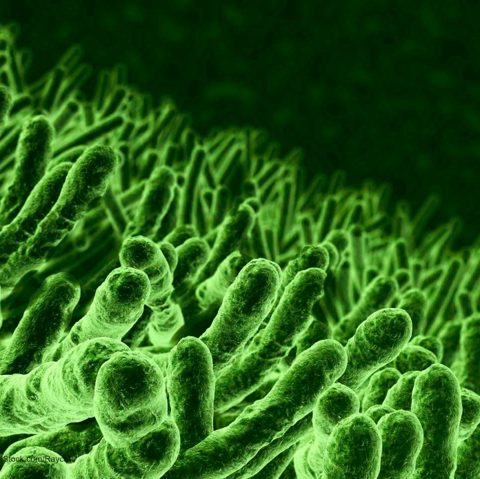 E. coli O157:H7 HUS Chopped Romaine Outbreak