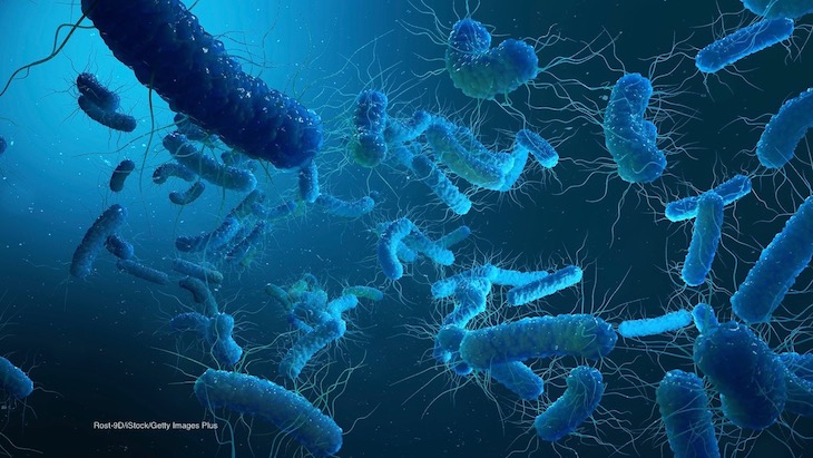 E. coli toxin cancer