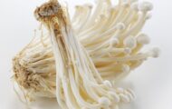 Hemu Trading Enoki Mushrooms Recalled For Possible Listeria
