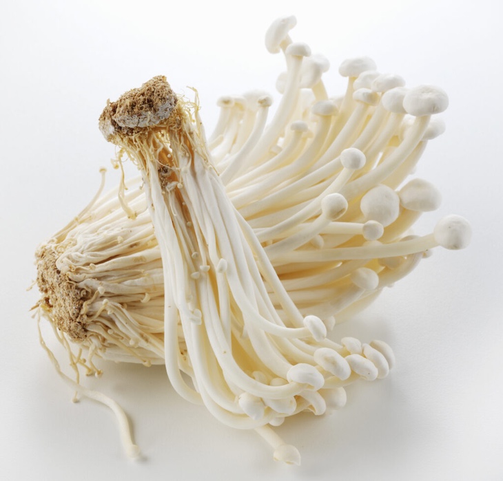 Enoki Mushrooms From China Subject to Import Alert For Listeria