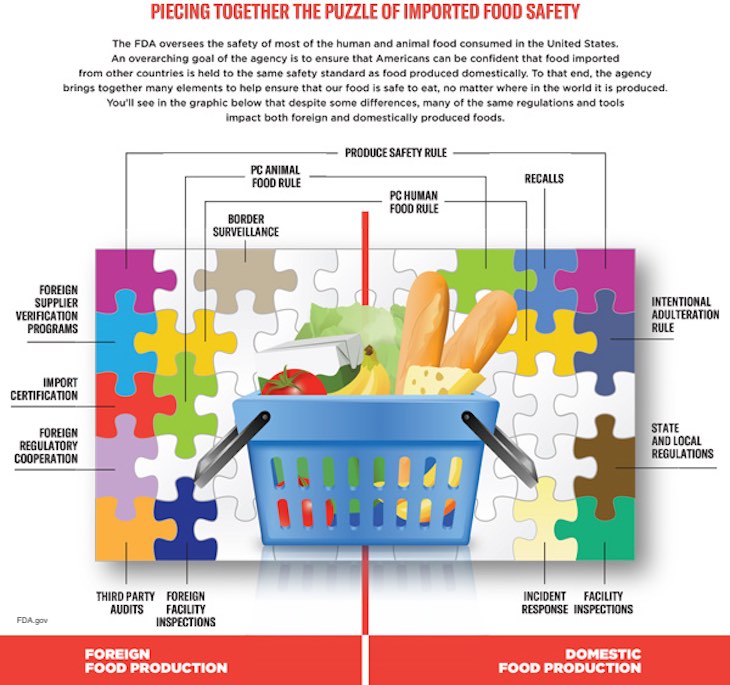 FDA Import Strategy Graphic v7