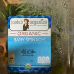 Top 10 Food Poisoning Outbreaks of 2020: Josie's Organics Baby Spinach