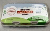 FDA Weighs in on August Egg Salmonella Outbreak