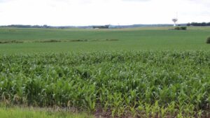 FDA Proposes Agricultural Water Safety Rule For Use on Produce