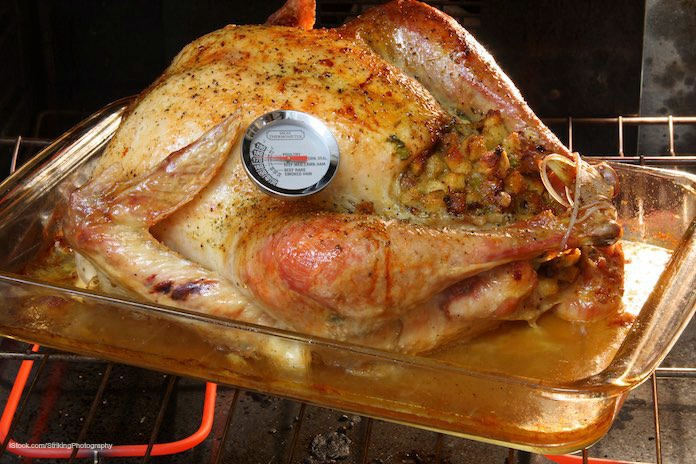 Salmonella Turkey is Still a Problem, With Thanksgiving Approaching