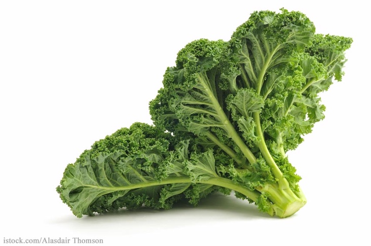 HEB and Little Bear Fresh Kale Recalled For Possible Listeria 