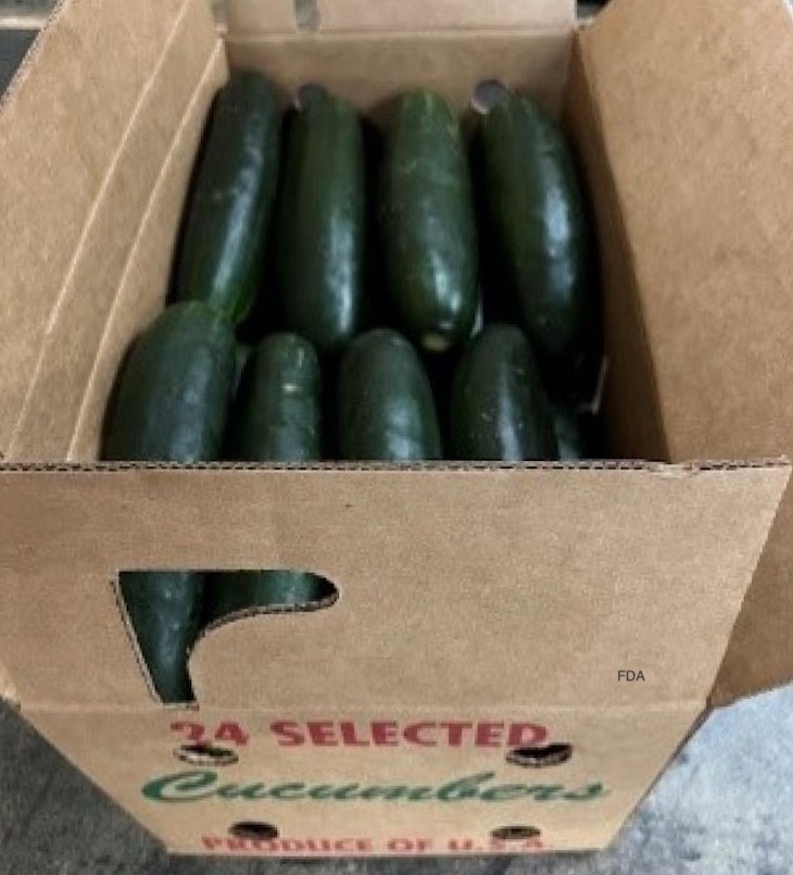 Fresh Start Whole Cucumbers Recalled For Possible Salmonella