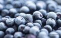 Greenwise Frozen Blueberries Recalled For E. coli O145 Outbreak