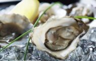 Sea Win Frozen Half Shell Oysters Recalled For Norovirus