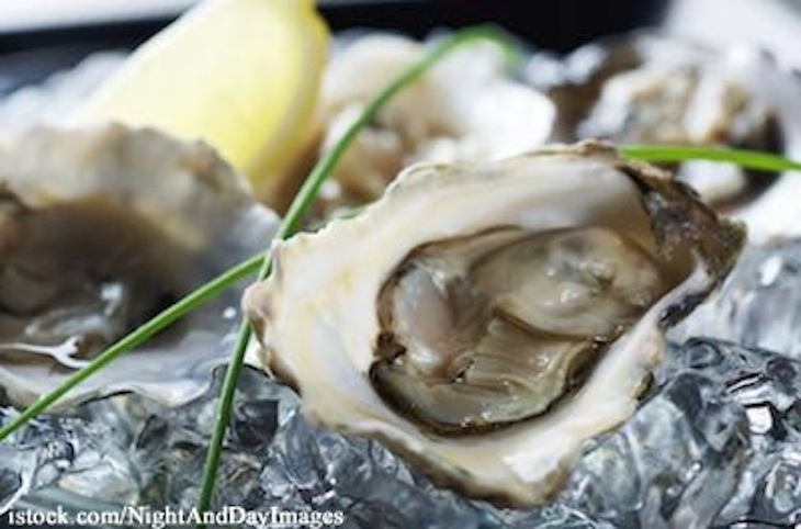 Future Seafoods Raw Oysters Recalled For Salmonella, E. coli