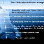 GAO Study of Foodborne Illness in U.S. Finds Issues