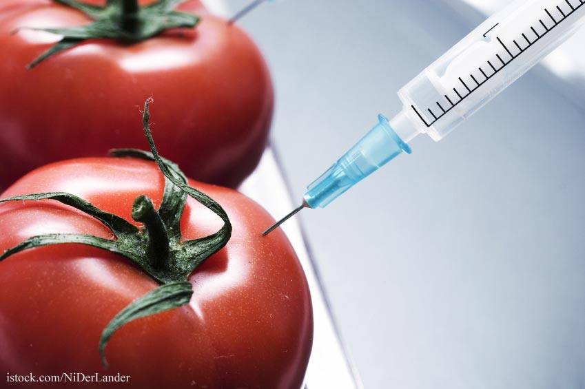 GMO Foods