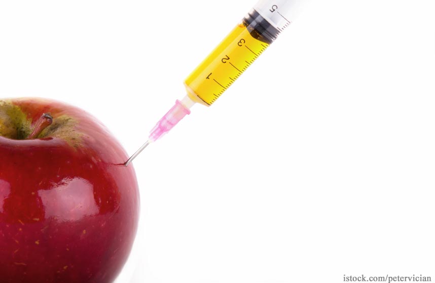 GMO Foods