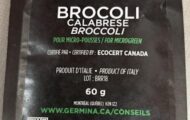 Germina Brocoli Calabrese Seeds Recalled For Pathogenic E. coli