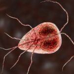 How Do You Know if You Have a Giardia Infection?